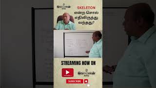 skeleton என்ற சொல் எதிலிருந்து வந்தது? | @vetriyalantamil312