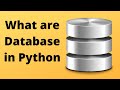 PYTHON DATABASE FOR BEGINNERS || CRUD explained with working example