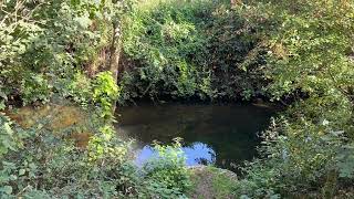 The Lea River Walk part 4 - Hatfield to Hertford