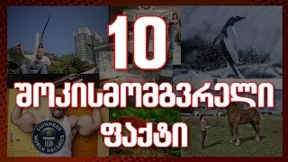 10 შოკისმომგვრელი ფაქტი, რომელმაც გააკვირვა მსოფლიო! #001