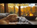 Dog Sleep Music🐶Dog stress relief music🦮Music to relieve separation anxiety for dogs left alone🌿