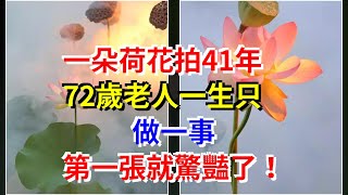 一朵荷花拍41年，72歲老人一生只做一事，第一張就驚豔了！，[心靈驛站]