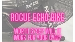 Rogue Echo Bike Review 1 year old and still going