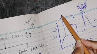 Electrical activity of GIT, slow waves and spike potential, guyton 63 part 2, #gitphysiology