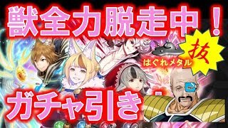 【FEH】♯706 『妖狐の親子ガルーの親子』獣全力脱走中！ガチャ引き！新リフ『リッパ』登場