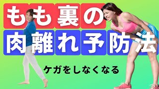 もも裏の肉離れの予防法