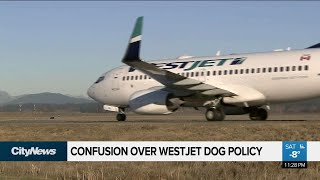 Changes to WestJet‘s dog policy have many confused