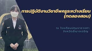 การปฏิบัติงานวิชาชีพครูระหว่างเรียน(ทดลองสอน)