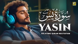 Surah Yasin (Yaseen) سورة يس | Relaxing calming Heart touching soft voice | Zikrullah TV