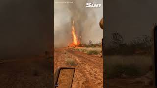 Fire tornado whips through farmland in Australia #shorts