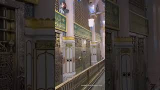 زیارت روضہ رسول صلی اللہ علیہ وسلم #islamicstatus #ytshorts #yutubeshorts #youtubeshorts #madina