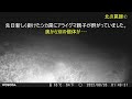 2022.8.28　思わぬ場所でアライグマ親子が姿を現した･･･