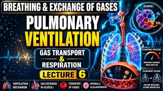 🚀 Lecture 6 | Breathing and Exchange of Gases | Complete Conceptual Understanding of Respiration
