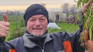 F1rcx est en direct Penser à retirer tout vos légumes  du jardin