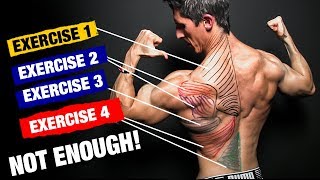 The PERFECT Back Workout (Sets and Reps Included)