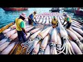 How Japanese Fishermen Use Robots To Catch Billions Of Squid - Squid Processing in Factory