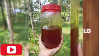 How to make Nannari Syrup | Grandma's Curryworld