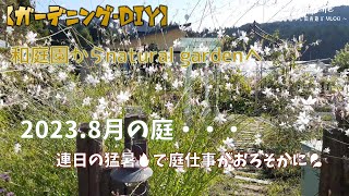 【ガーデニング】和庭園からナチュラルガーデンへ　２年目　連日の猛暑で庭仕事がおろそかに💦