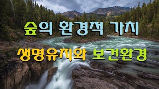 숲의 환경적 가치 🏞 생명유지 기능과 보건환경 기능 🏔 숲체험과 숲해설