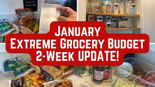 2-Week UPDATE! January Extreme Vegan Grocery Budget Challenge | Trader Joe’s Winter Haul