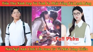 Tiểu Thư Xinh Đẹp Vô Tình Va Phải Tổng Tài Lạnh Lùng - Nào Ngờ Anh Chơi Lớn Đem Cô Về Nhà Cưng Chiều