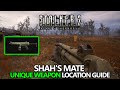 STALKER 2 - Shah's Mate (Unique Legendary Weapon) Quest Guide - Your Move! Achievement (Kingpin Gun)