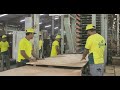 Discover How Green Defender Plywood is Made? | BWP Plywood | Greenply