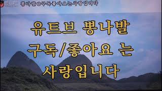 사슴여인 (도전4171곡)임수정님노래(테너색소폰연주:뽕나발)이어폰으로 들으시면 더좋은 사운드로 들을수 있습니다 구독 좋아요 는 사랑입니다