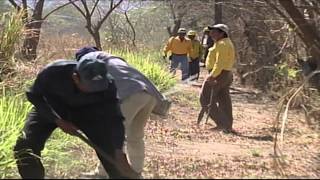 Conafor invierte en equipamiento y unidades de combate contra incendios forestales