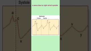 JVP|| Jugular venous pressure || Cardiology