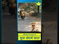 युवा संघर्ष यात्रा रफीगंज से दाउदनगर ips anand mishra