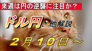 【TAKA FX】ついに来たか？円高相場！　ドル円他各通貨の環境認識解説。2月10日(月)～