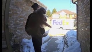 FedEx driver finds lost dog, returns it to Castle Pines owners