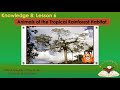 Kn 8 Ls 6 Animals Tropical Rainforest