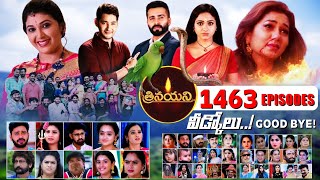 Trinayani Serial వీడ్కోలు ! | 1463 | Good bye Trinayani | Climax | Good Bye | Journey | Teluguflame