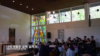 '나의 자랑은 오직 십자가'20190602베를린주찬양교회 성가대찬양 Lobe den Herrn Gemeinde Berlin