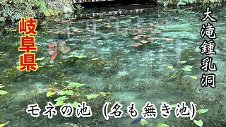 岐阜県　モネの池　大滝鍾乳洞　絵画のような景色と日本一の地底の滝