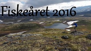 Fiskeåret 2016 - Ørretfiske på Vestlandet