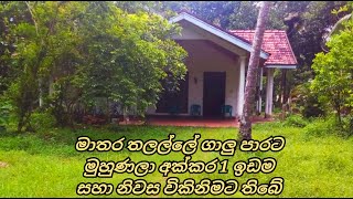 මාතර තලල්ලේ අක්කර 1 ඉඩම සහ නිවස විකිනිමට තිබේ. (Land value only ) | ❌No Brokers❌