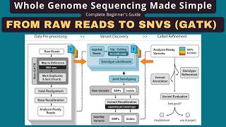 GATK Germline Variant Calling Tutorial: FASTQ to High-Quality Variants — WGS Guide