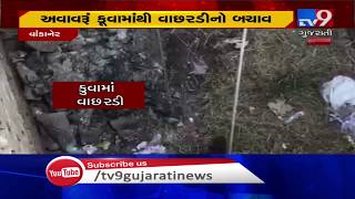 Cow-calf fell into well in Morbi's Wankaner, rescued by locallites | TV9News