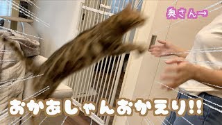 一週間ぶりの奥さんとの再会に喜びが止まらないロゼ！！