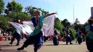 いなぎ藍の風『第25回YOSAKOIソーラン祭り』2016.6.11-12