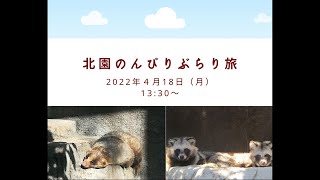 北園のんびりぶらり旅