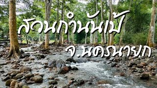 สวนกำนันเป้ คลองมะเดื่อ Ep.13