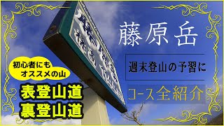 【藤原岳 登山】アクセス抜群 初心者も楽しめる名山。表登山道・裏登山道の周回コースを全紹介。週末ハイキングの予習にどうぞ。