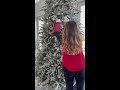 12 foot christmas tree