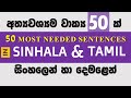 Learn 50 MOST NEEDED Sentences in Sinhala and Tamil /  Spoken Tamil / Spoken Sinhala / Lesson 01