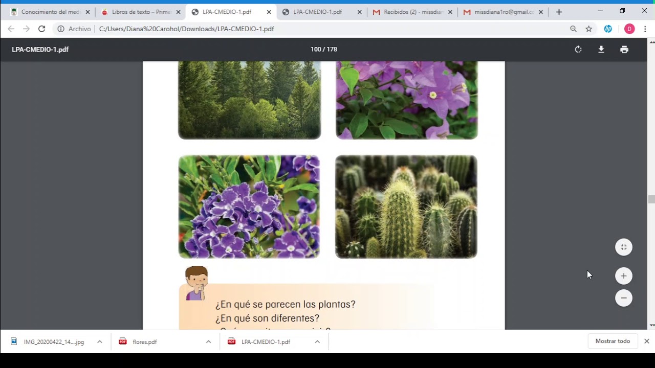 Las Plantas De Mi Comunidad - YouTube