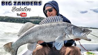 BIG ZANDERS from LAKE BALATON